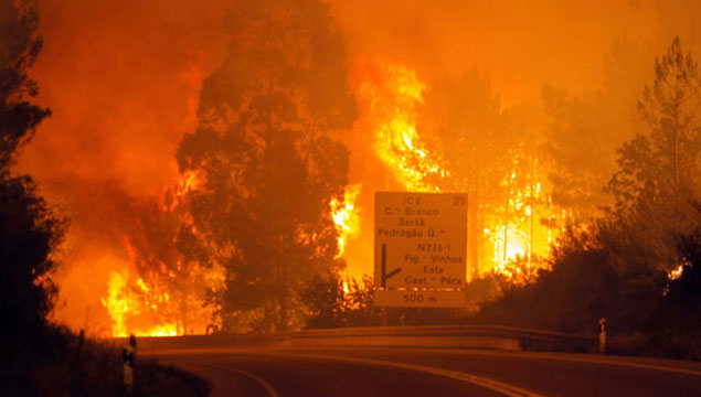 Portekiz'de yangın: 62 ölü!
