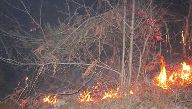 Orman yangınlarına karşı uyarı
