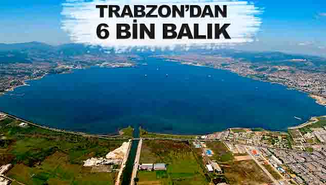 Trabzon'dan 6 Bin balık!