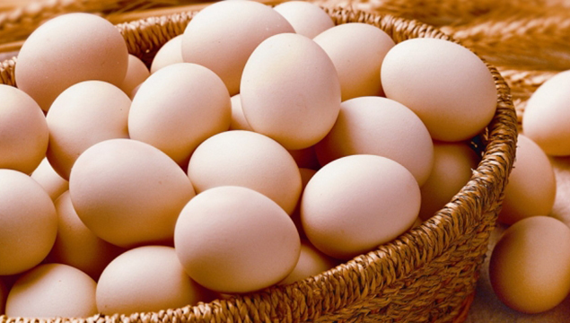 Türkiye'den 2 bin tırlık yumurta ihracatı!