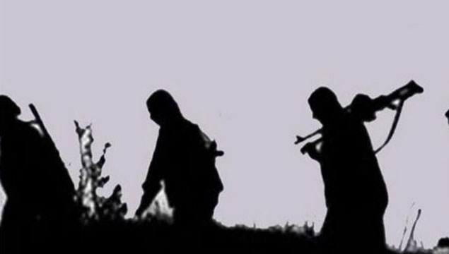 Hakkari'de iki PKK’lı teslim oldu