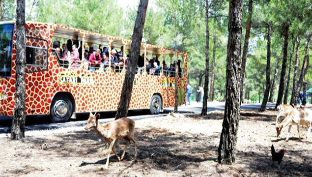 İlk safari parkı açıldı
