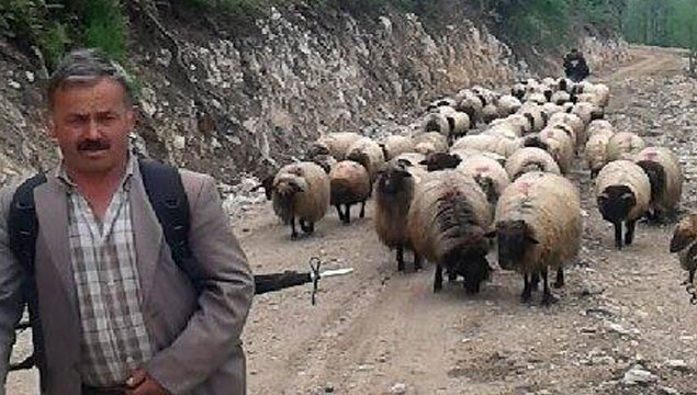 Çobanlar yayla yolunda 