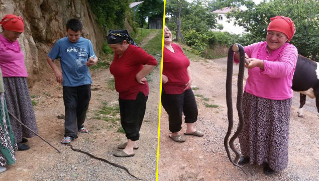 Evin önünde 2 buçuk metrelik yılan!