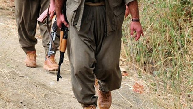 2 PKK’lı teslim oldu