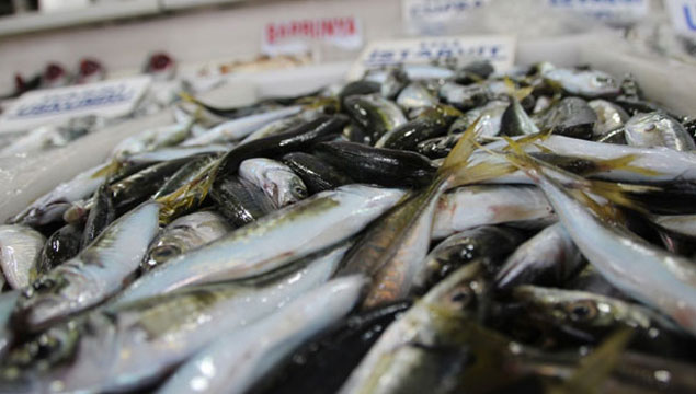 Balık fiyatlarında beklenen düşüş yaşanmıyor