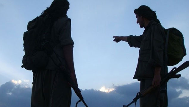 Ağrı'da iki PKK'lı teslim oldu
