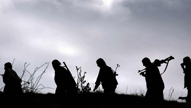 Şemdinli'de 2 PKK'lı yakalandı