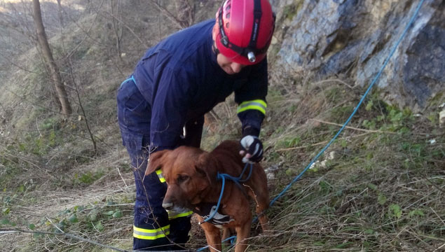 Kayalıklarda mahsur kalan köpek kurtarıldı 