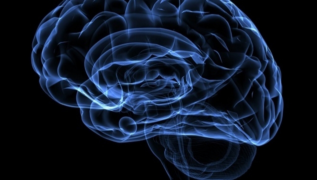 Alzheimer'da kaybolan hafıza parçaları geri gelir 