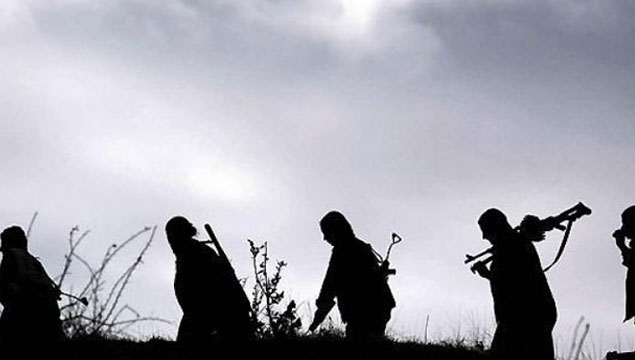 Yüksekova'da 177 PKK'lı öldürüldü