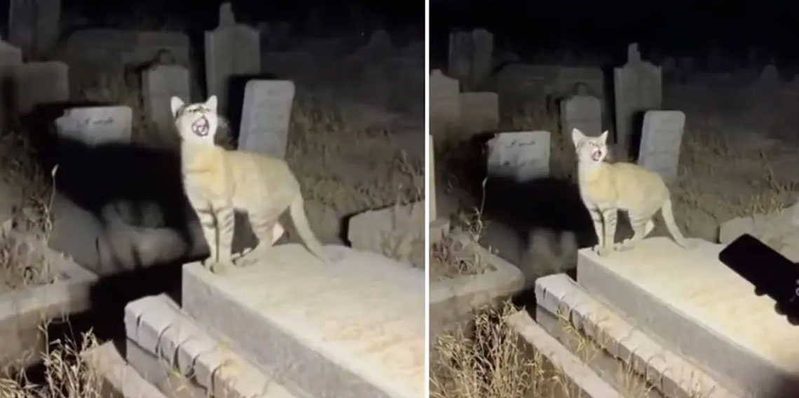 Yapay zekanın geldiği son nokta: Binlerce kişi gerçek sanıp paylaştı